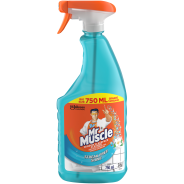 Mr Muscle Window & Surface Cleaner Fresh Trigger 750ml