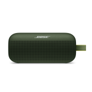 Bose SoundLink Flex Cypress Green